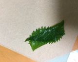 肉だけどさっぱり✿春巻き✿作り方3写真