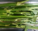 ウド・伸びたウド、人参などの油炒め味噌煮作り方1写真