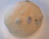 レーズン入り☆バターロール作り方13写真