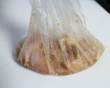 油がはねない！一気に一皿！揚げ焼きチキン作り方2写真