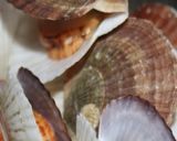 ♡ホタテの稚貝炊き込みご飯♡作り方1写真