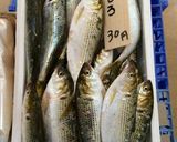 割烹風 コノシロの酢漬け作り方1写真