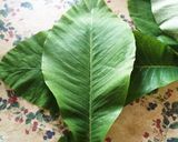 福井の郷土食 ほお葉飯作り方2写真