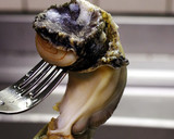アカニシガイときゅうりの酢味噌和え作り方3写真
