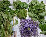 藤の花とイタドリの芽の天ぷら(簡単)作り方1写真