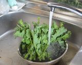 どうし菜の漬物（浅漬けの素）作り方1写真