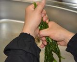 どうし菜の漬物（浅漬けの素）作り方6写真