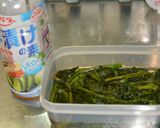 どうし菜の漬物（浅漬けの素）作り方7写真
