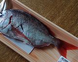 キャンプ！ダッチで鯛飯！作り方1写真