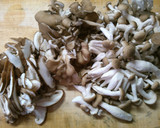 簡単　チンゲン菜　きのこと　牛肉の中華煮作り方1写真