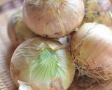 玉ねぎのマリネ（酢玉ねぎ）作り方1写真