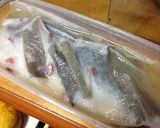 鯖のきずし作り方8写真
