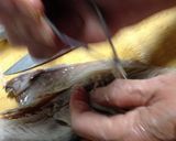 鯖のきずし作り方10写真