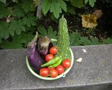 素揚野菜の彩りそうめん作り方1写真