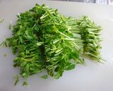 豆苗海苔あえ作り方1写真