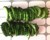 夏に美味しい♡ゴーヤの甘だし炒め作り方1写真