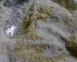 豆腐と昆布茶で　豆腐クリームドリア作り方1写真