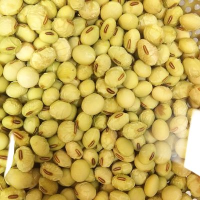 大豆の大豆様　XS 錦白大豆 300g｜丹波黒大豆の小田垣商店 | 公式オンライン