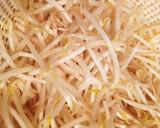 簡単！節約＊もやしのペペロンチーノ風炒め作り方5写真