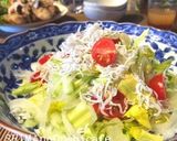 新タマとセロリのシャキシャキシラスサラダ作り方2写真