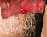 たっぷりワサビ＊ミョウガの☆ヤズ茶漬け作り方2写真