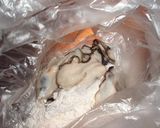 簡単おいしいカキ料理作り方1写真