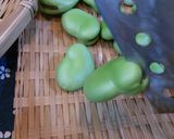 ♪やさしい初夏の味♡空豆の塩茹で♪作り方3写真