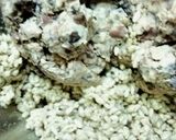 大好き黒豆で黒豆味噌( *´艸｀)作り方7写真