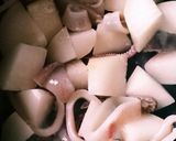 イカと大根の生姜煮作り方4写真