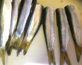 釣り肴唐揚げ粉でサッパの南蛮漬け作り方2写真