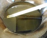 ナンテンハギ（フタバハギ）の天ぷら作り方7写真