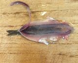 カタクチイワシの捌き方と、揚げ方作り方2写真