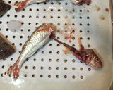 ヒメジの捌き方、お吸い物、揚げもの作り方3写真