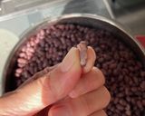 お萩/ぼた餅 〜お彼岸に〜作り方6写真