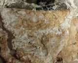 食物繊維♪FPでスコーン作り方3写真