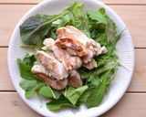 ぬか床一年生で作る 熟成鶏むね肉のグリル作り方8写真