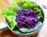 紫(赤)キャベツの美味しい常備サラダ作り方10写真