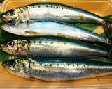 イワシ(真鰯)の蒲焼作り方1写真
