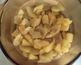 アツアツのアップル餃子のバニラアイス添え作り方1写真