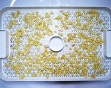 食品乾燥機で作る乾燥とうもろこし作り方2写真