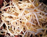 簡単！おつまみ＊砂肝ともやしのカレー炒め作り方8写真