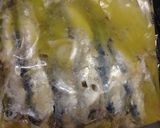 いわしのパスタ、魚臭くならない裏ワザつき作り方1写真
