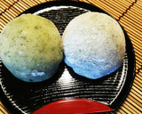 よもぎの下処理と保存作り方12写真