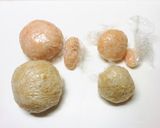 アンパンマンとドキンちゃん☆キャラ弁作り方3写真