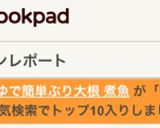 麺つゆで簡単ぶり大根 煮魚作り方13写真