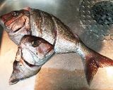 鯛の切り身と白だしで簡単本格鯛飯♪作り方11写真