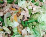 美味!! 生姜がポイントのひき肉八宝菜作り方5写真