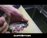 殻付き生牡蠣を家庭で食べよう！作り方4写真