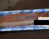 かんたん！とろろ昆布を使って　魚のこぶ〆作り方2写真