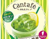 抹茶レモンスムージ作り方1写真